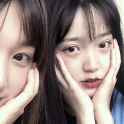 忍者神龟披萨外卖